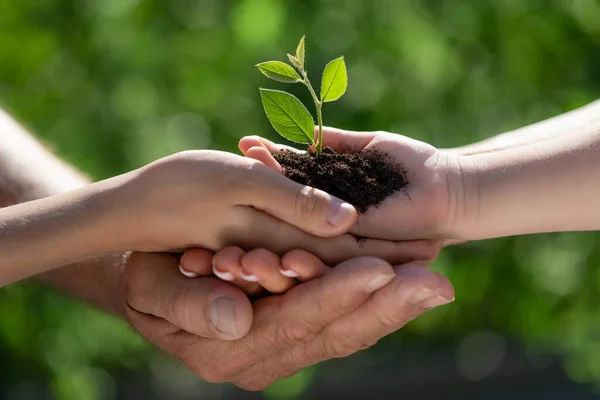 depositphotos_453891320-stock-photo-child-holding-young-green-plant