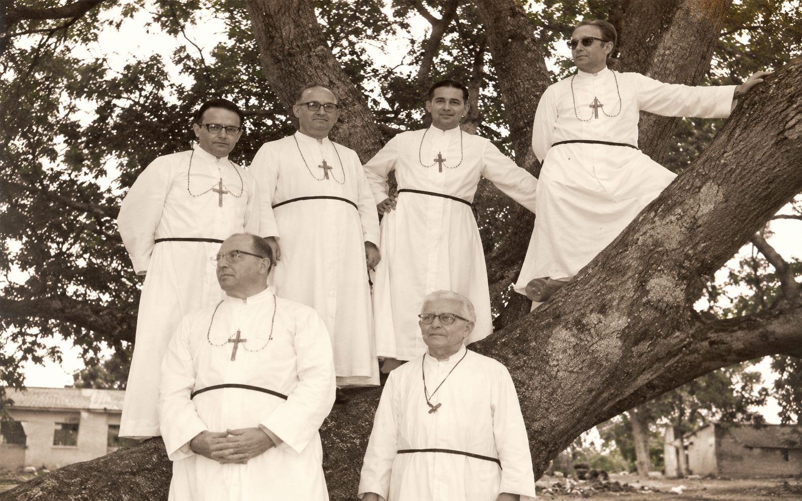 Sacerdotes bajo el árbol centenario